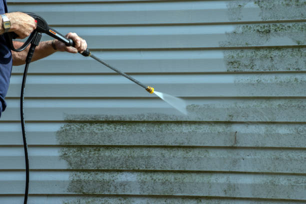 Best Restaurant Pressure Washing  in Ridgway, CO